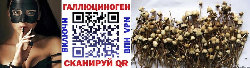 купить наркотик  Михайловка  Галлюциногенные грибы ЛСД 
