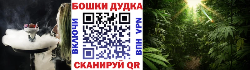 Бошки марихуана VHQ  гидра как войти  Михайловка 